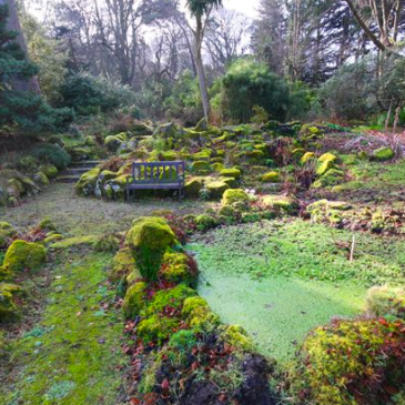 Fernhill gardens Stepaside