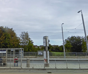 Gallops Luas Station Green