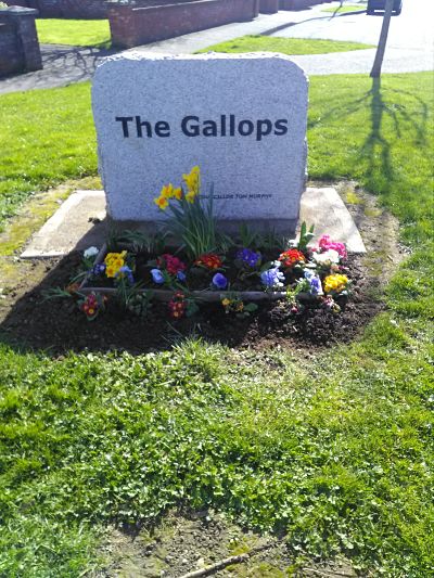 Plant boxes at the Gallops entrance