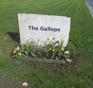 flowers at Gallops name stone
