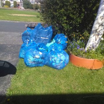 Gallops clean up April 2017