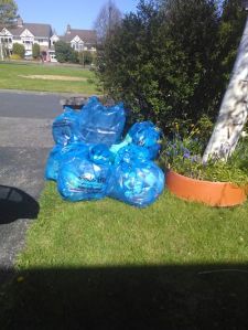 Gallops clean up April 2017