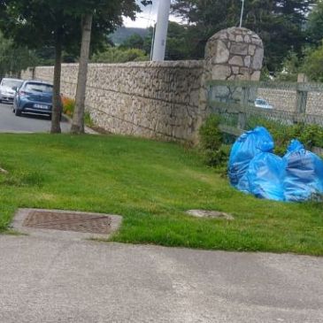 Gallops estate clean up, Dublin 18