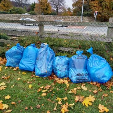 estate clean up November 2020