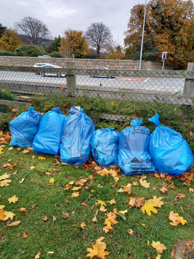 estate clean up November 2020