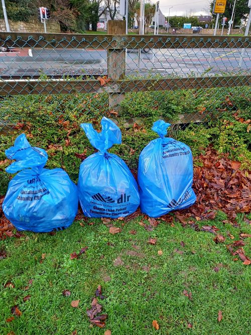 rubbish collected at clean up in Dublin 18
