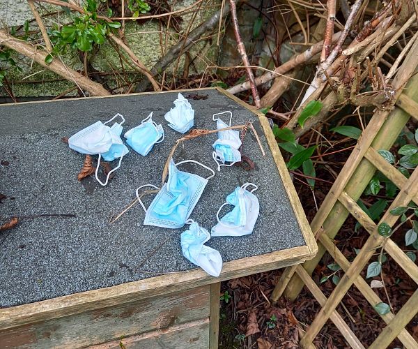 discarded face masks found in front garden