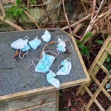 discarded face masks found in front garden