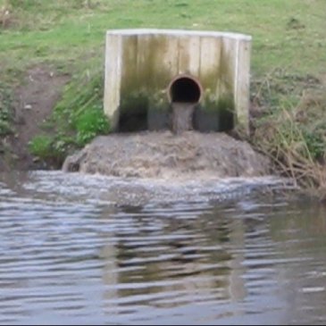 sewage goes into local river